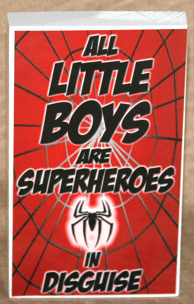 Superhero Boys Spiderman